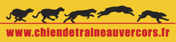 Logo Chien de Traineau Vercors